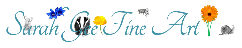 Sarah Gee Fine Art