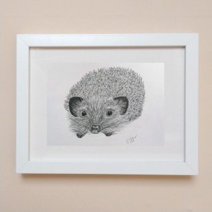 Hedgehog print