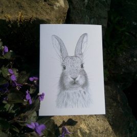 Rabbit Greetings Card
