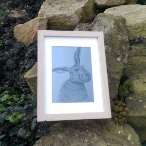 Hare Fine Art Print