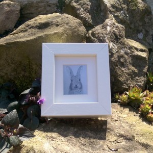 Mini rabbit print