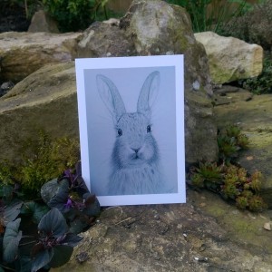 Rabbit Greetings Card