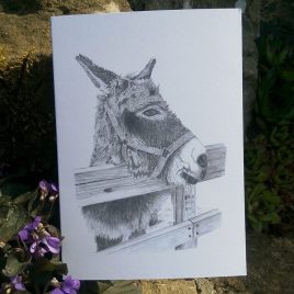 Donkey Greetings Card