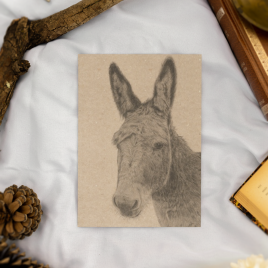 Donkey Notebook