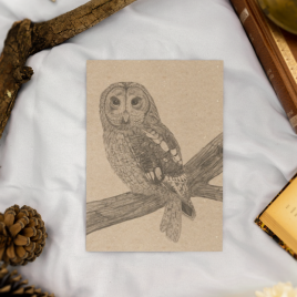 Tawny Owl Notebook