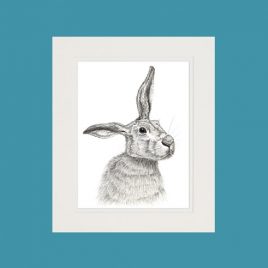 Hare Fine Art Print