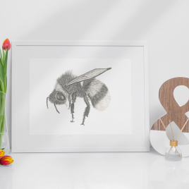 Bumblebee Fine Art Print