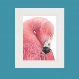 Original Flamingo Pencil Drawing