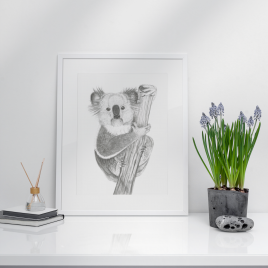 Kirra the Koala Fine Art Print