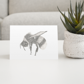 Bumblebee Greetings Card