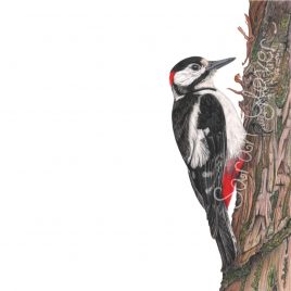 Felix the Woodpecker