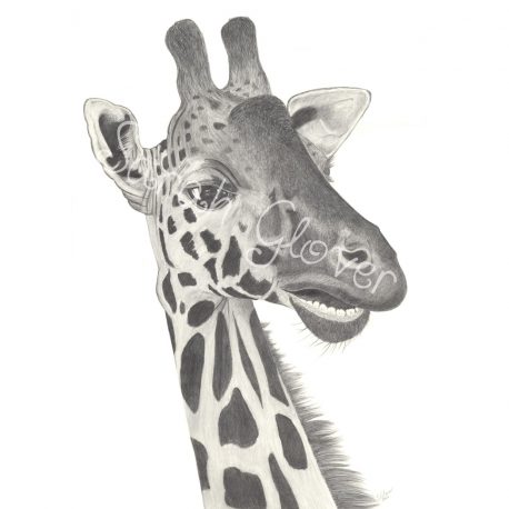 Nakuru the Giraffe