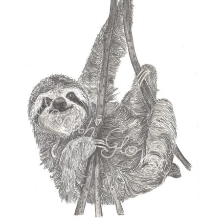 Norman Sloth