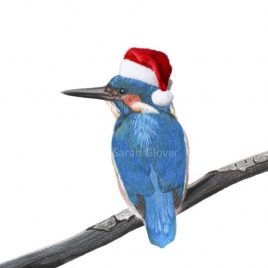 Christmas Kingfisher